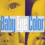 Baby Eye Color Calculator: Predict Your Baby’s Beautiful Eyes