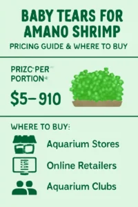 Baby Tears for Amano Shrimp