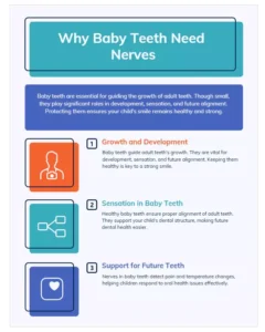 Why Baby Teeth Need Nerves