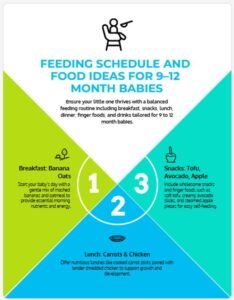 Feeding schedule and food ideas for 9–12 month babies (3)