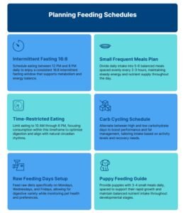 Planning Feeding Schedules