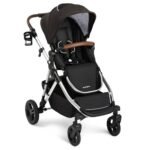 Best Single to Double Strollers