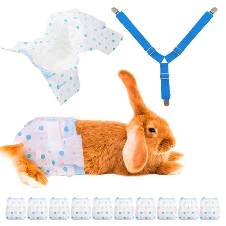 Can Bunnies Wear Dog Diapers