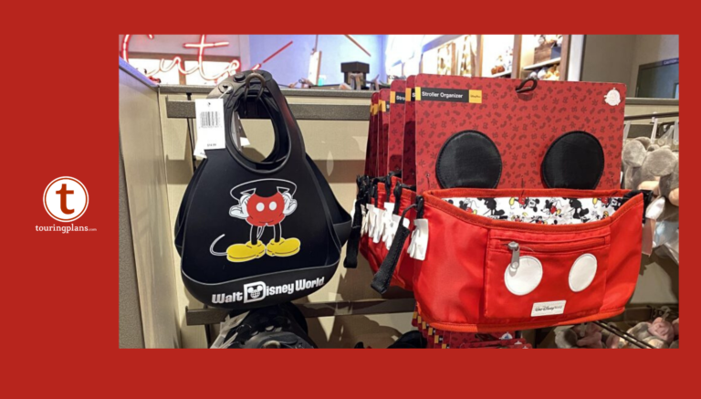 Stroller Accessories for Disney: Must-Have Magic Essentials