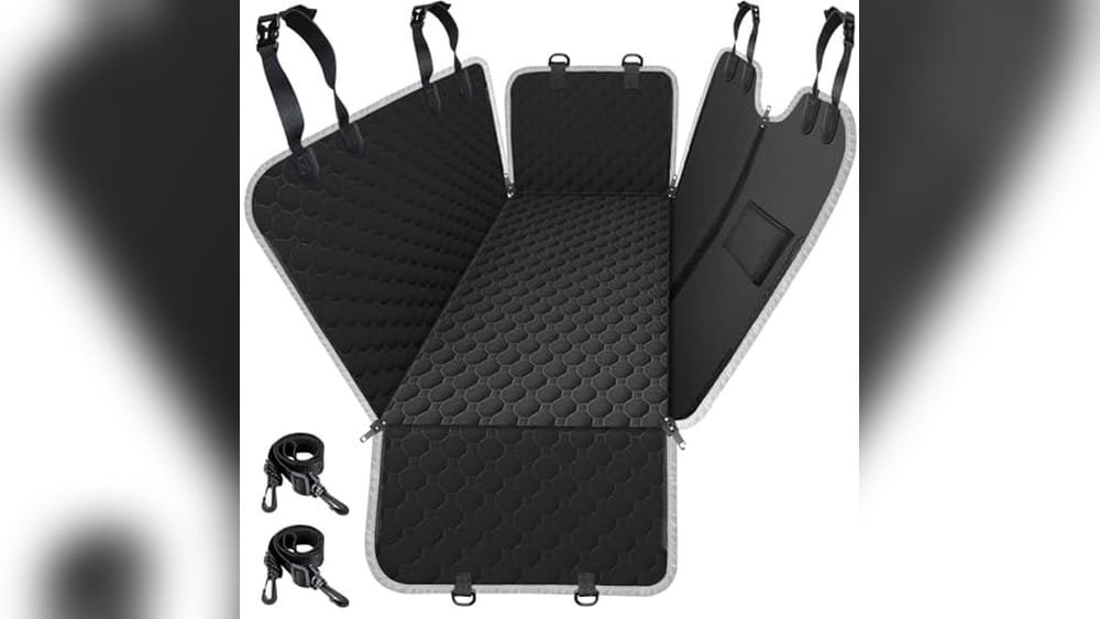 Car Seat for Compact Cars