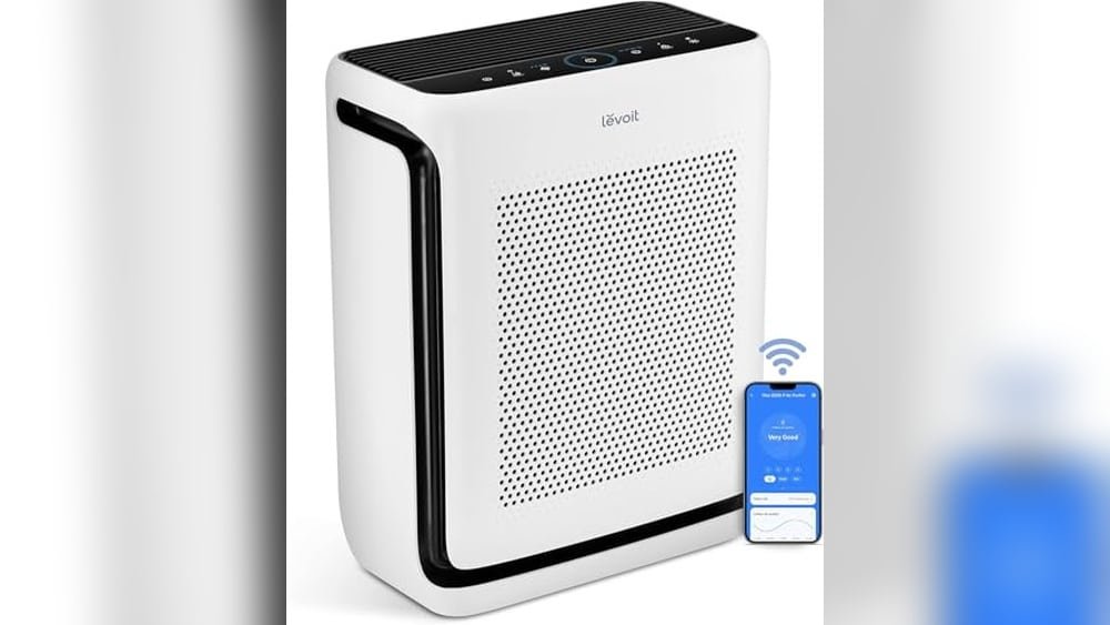 Hepa Air Purifier Allergy Relief