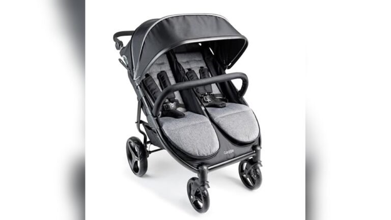 Best Stroller for Amusement Parks