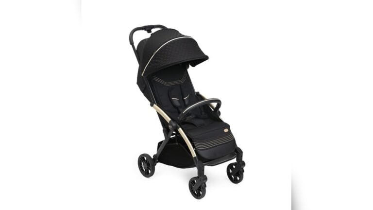 Best Stroller for Chicco Keyfit 35