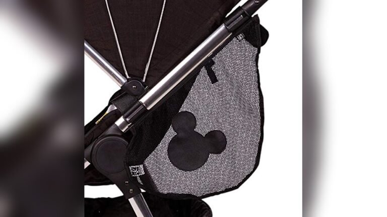 Best Stroller for Disney World