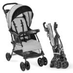 Best Stroller for Theme Parks