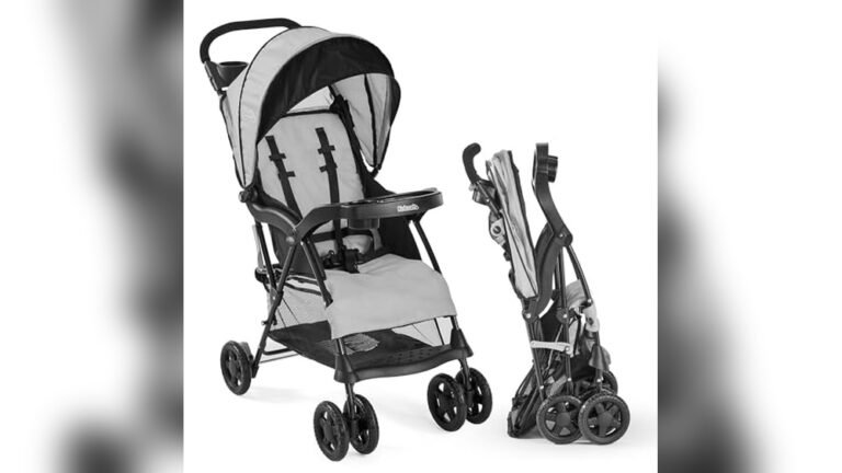 Best Stroller for Theme Parks
