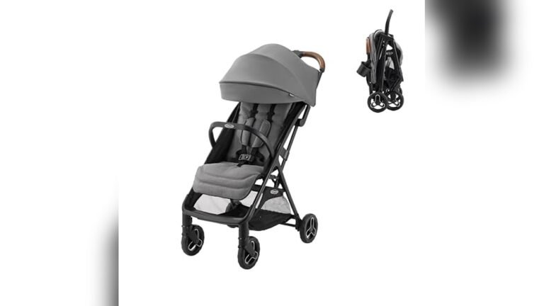 Best Stroller for Travelling