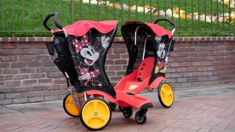 How Much are Stroller Rentals at Disneyland: Ultimate Cost Guide