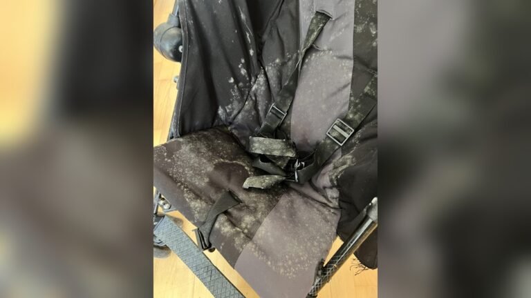 How to Clean Mold off a Stroller
