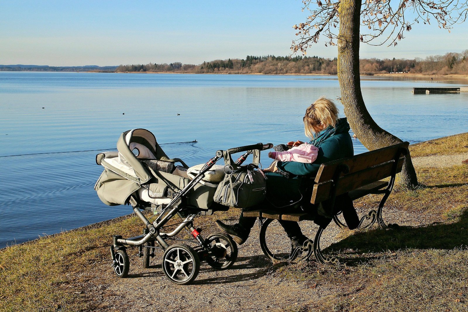 Best Strollers for Every Family