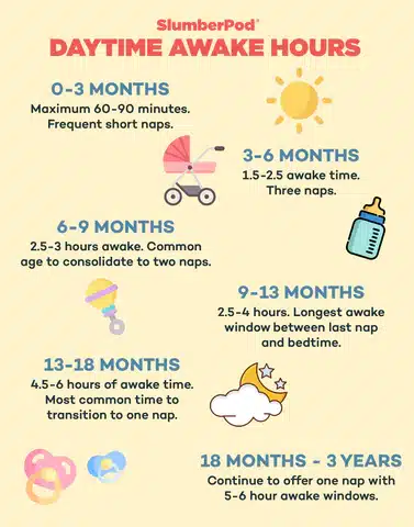 Baby Wake Windows By Age