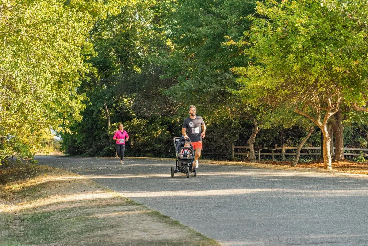 All-terrain toddler stroller outdoors