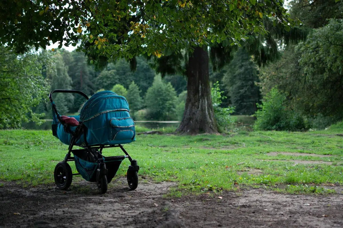 Stroller maintenance cleaning pivot