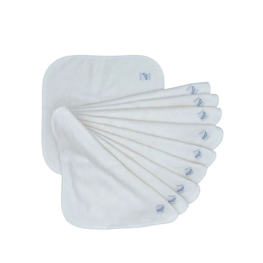 cloth wipes vs plastic wipes