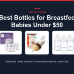 Best Bottles for Breastfed Babies Under $50