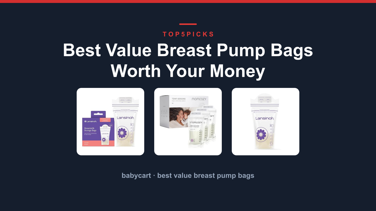 Best Value Breast Pump Bags Worth Your Money